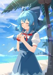 cirno from touhou