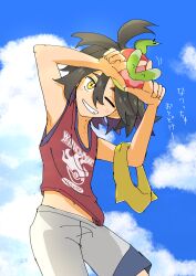 applin from pokemon