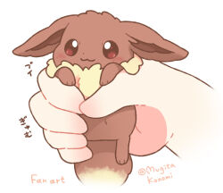 eevee from pokemon