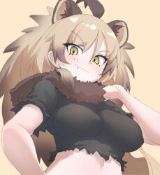 kemono friends fan art