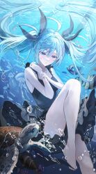 hatsune miku from shinkai shoujo (vocaloid)