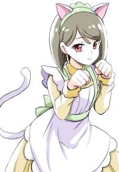 nekoyashiki sumire from precure by uraki