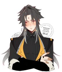 ye shiyuan from zenless zone zero