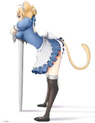 artoria pendragon (fate) from carnival phantasm