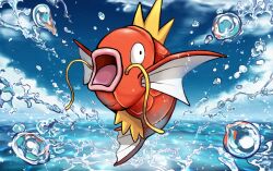 magikarp from pokemon