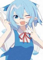 cirno from touhou