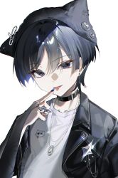 scaramouche (cat) (genshin impact) from genshin impact