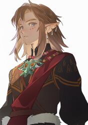 link from the legend of zelda