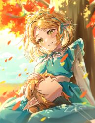 link from the legend of zelda