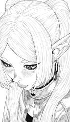 frieren from sousou no frieren