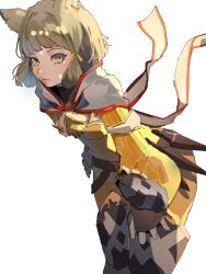 nia (xenoblade) from xenoblade chronicles (series)