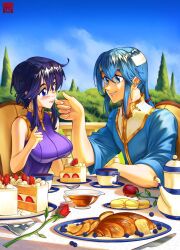 larcei (fire emblem) from fire emblem