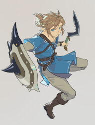 link from the legend of zelda
