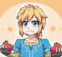 link from the legend of zelda by shimure (460)