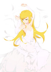 oshino shinobu from monogatari (series)
