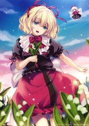 medicine melancholy from touhou by monety