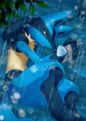 lucario from pokemon
