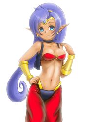 shantae (character) from shantae by finalcake