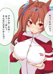 daiwa scarlet (umamusume) from umamusume by nishi koutarou