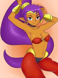shantae (character) from shantae by prinny (viewtifuljoex)