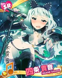 shijou takane from idolmaster