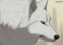 kiba fan art