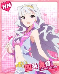 shijou takane from idolmaster