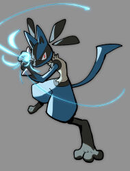 lucario from pokemon