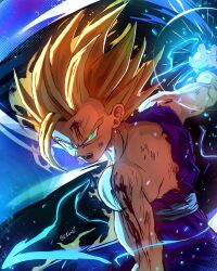 son gohan from dragon ball