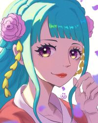 kouzuki hiyori from one piece