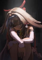 ye shunguang from zenless zone zero