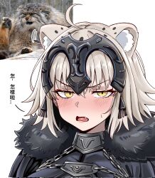 jeanne d'arc alter (avenger) (fate) from fate/grand order