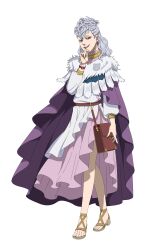 black clover fan art