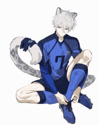 nagi seishirou from blue lock