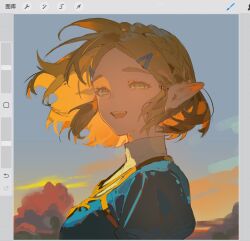 princess zelda from the legend of zelda
