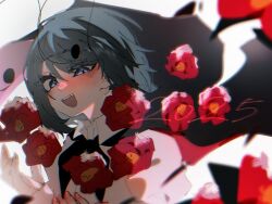wriggle nightbug from touhou