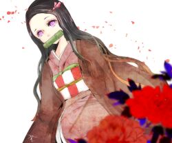 kamado nezuko from kimetsu no yaiba