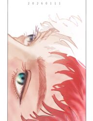 todoroki shoto from boku no hero academia