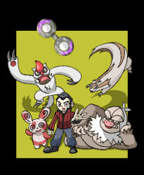 linoone from pokemon