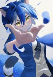 maltese tiger (kemono friends) from kemono friends