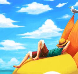 monkey d. luffy from one piece by feriowind