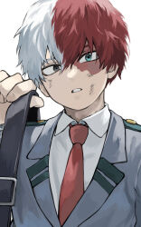todoroki shoto from boku no hero academia