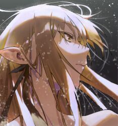 kiss-shot acerola-orion heart-under-blade from kizumonogatari