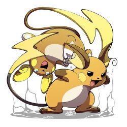 alolan raichu from pokemon