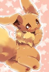 eevee from pokemon by choko (sweetpocket)
