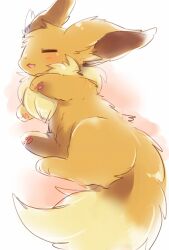eevee from pokemon by choko (sweetpocket)