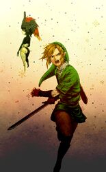link from nintendo