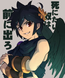 dark pit from kid icarus