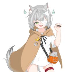 kamizuki naki from prism project