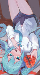 hatsune miku from vocaloid